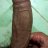 tranvanhung 678