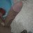 Themlonbg